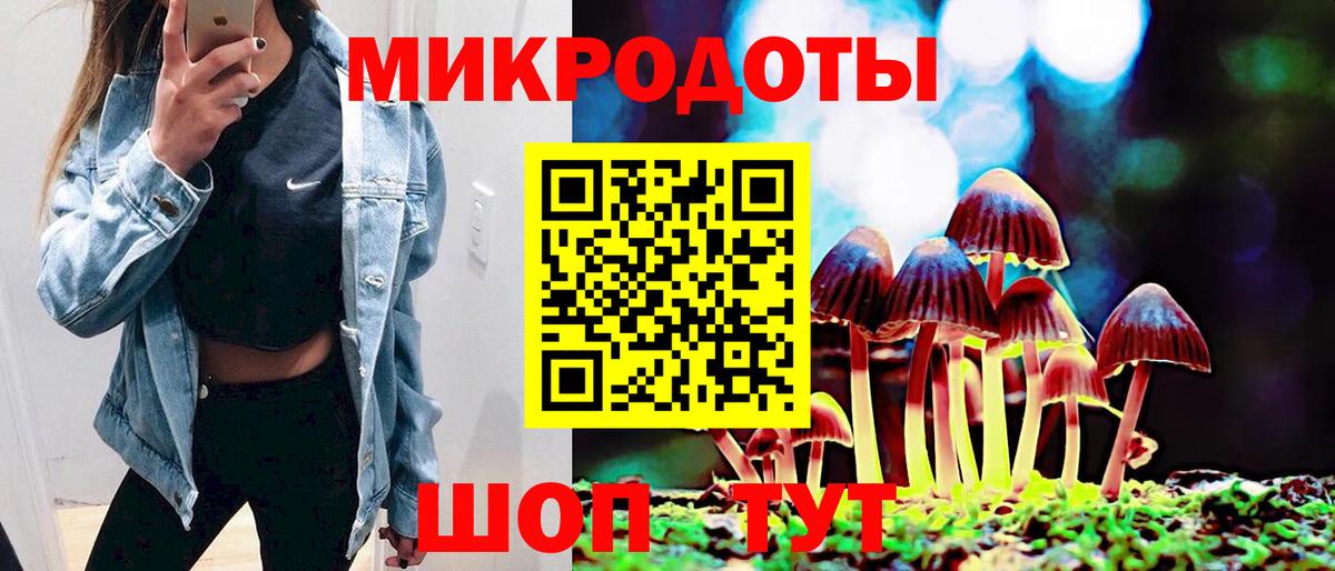 Галлюциногенные грибы Cubensis  Вход с VPN  Чистополь 